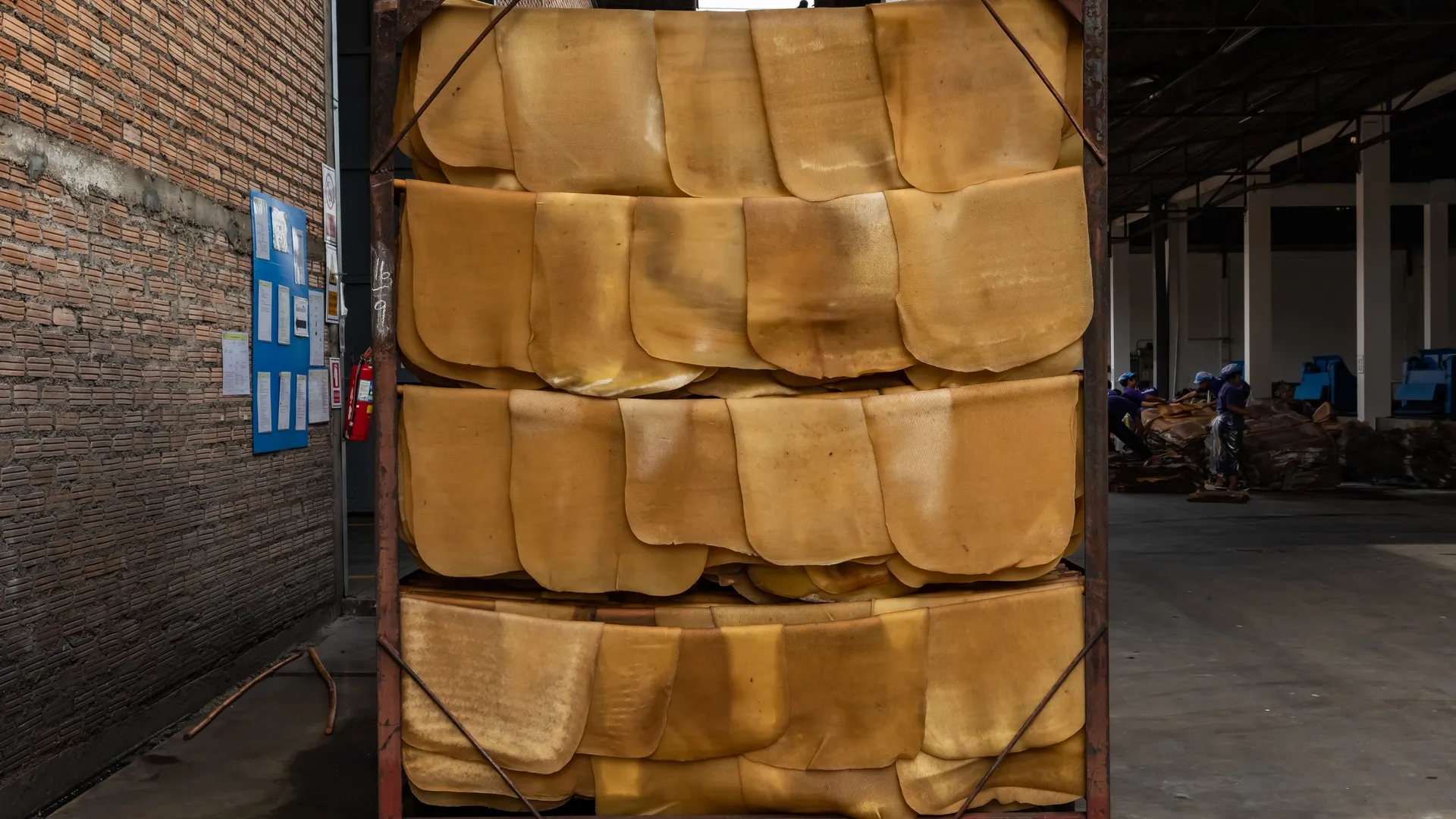 Natural rubber sheets in a processing facility